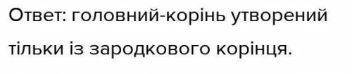 обладает практически стопроцентным gidropony зам то есть будет расти по направлению к центру Земли г