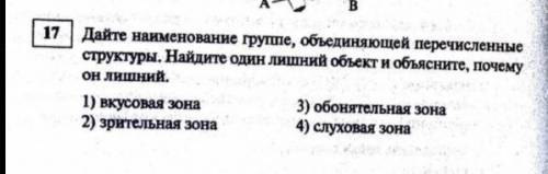 Дайте наименование группе, объединяющей перечисленные структуры. найдите один лишний объект и объясн