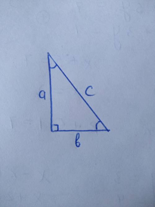 Постройте прямоугольный треугольник по катету и прилежащему к нему острому углу (Нужно построение и