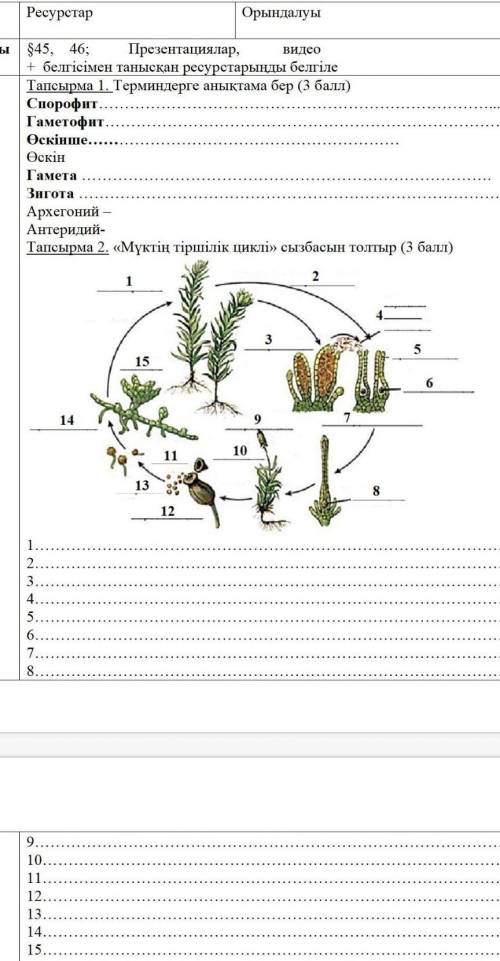 Тапсырма 1. Терминдерге анықтама бер ( ) Спорофит ​