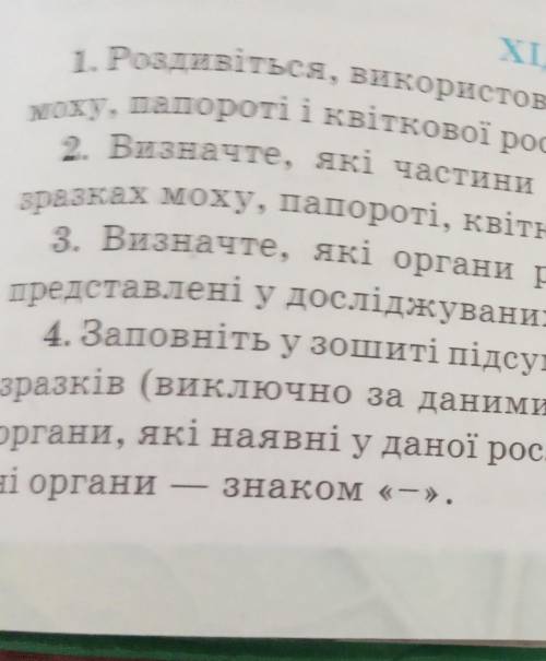 Оздивітся використовуючи дупу надані вчителем рослини моху папороті і квіткової рослини​