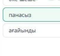 Бір атаның балалары тұрғылықты жері жоқ қадағалаусыз қалған бала ағайындыпанасызәке-шеше ​