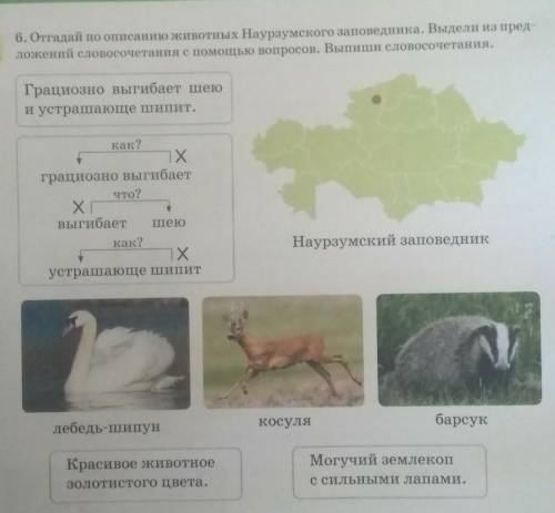 6. Отгадай по описанию животных Наурзумского заповедника. Выдели из пред ложений словосочетания с во