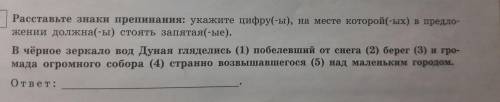 Расставьте знаки препинания в 5 предложениях и ОБЪЯСНИТЕ их расстановку