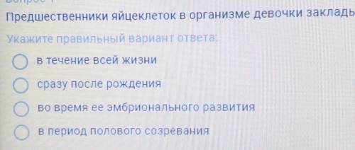 Последние два вопросазакладываются это то слово которое не видно​