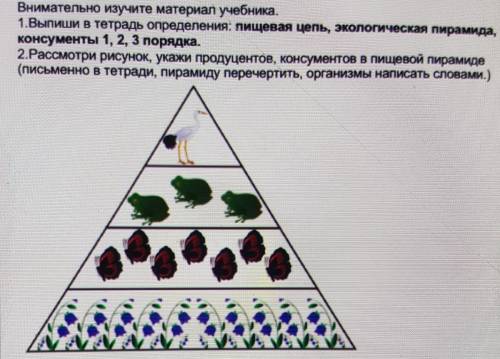 1.Выпиши в тетрадь определения: пищевая цепь, экологическая пирамида, консументы 1, 2, 3 порядка.2.Р