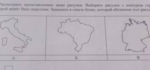 8.2. Рассмотрите представленные ниже рисунки. Выберите рисунок с контуром страны, в которой живёт Ва