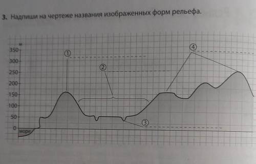 ХОЛМ, ДОЛИНА, ВПАДИНА, возвишенность .ААААААААААА​