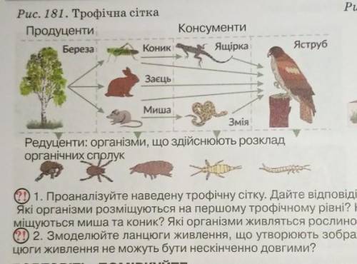 1.Проаналізуйте наведену трофічну сітку.Дайте відповіді на запитання.Які організми розміщуються на п