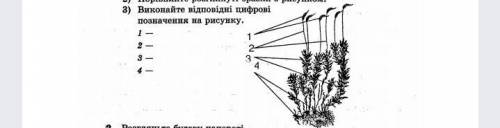 ОЧЕНЬ ПРАКТИЧЕСКАЯ ПО БИОЛОГИИ