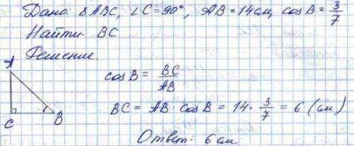 В треугольнике ABC угол C=90°, АВ=14см, cosB=3/7 . Найди ВС​