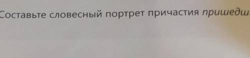 Составьте словесный портрет причастия ​