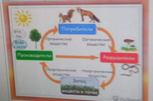 Задание 2. Рассмотрите пищевую цепь и объясните, как в экосистеме передается энергия. прогу :_(​