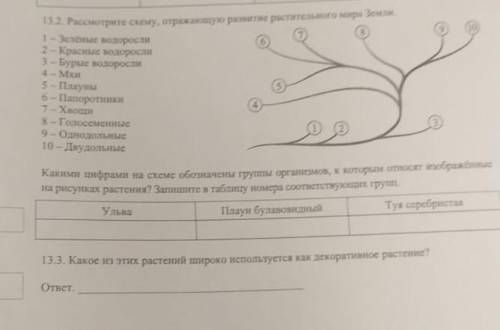 За пустые и не правильные ответы бан!​