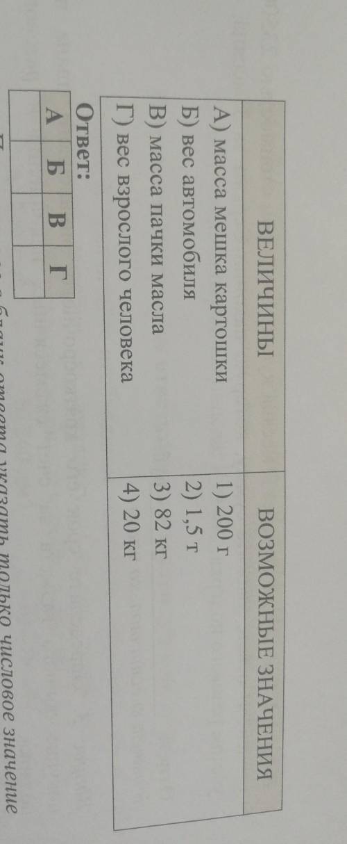 Марина отправилась покататься на своей машине. Во время поездки дорогу перед машиной перебежала кошк