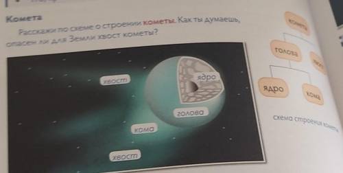 Нарисуй в тетради строение кометы с 58(подпиши названия частей), нарисуй астероид с 59. быстро​