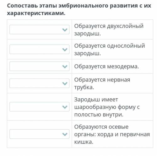 Сопоставь этапы эмбрионального развития с их характеристиками. образуется двухслойный зародыш. образ