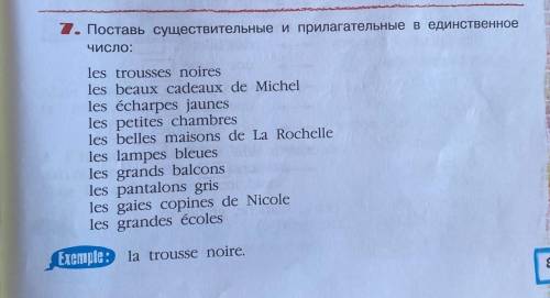 Поставь существительное и прилагательное в единственное число. ​