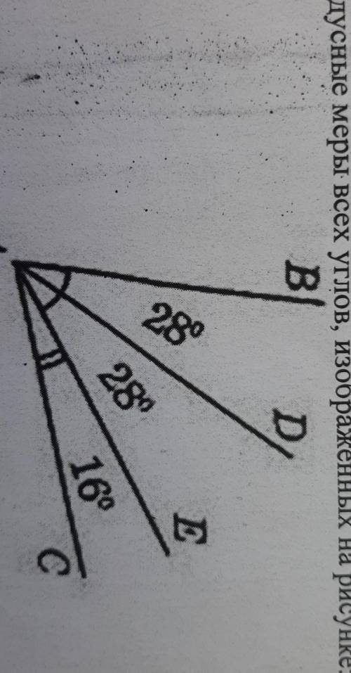 Запишите градусные меры всех углов, изображенных на рисунке​