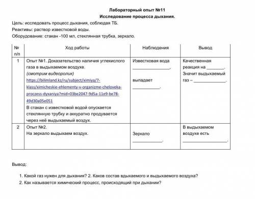 Лабораторный опыт #11. Исследования процесса дыхания ​