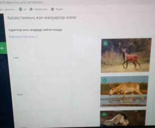 Авиабилеты SiндексҚазақстанның жан-жануарлар әлеміСуреттер мен сөздерді сәйкестендір.Байланыстар сан