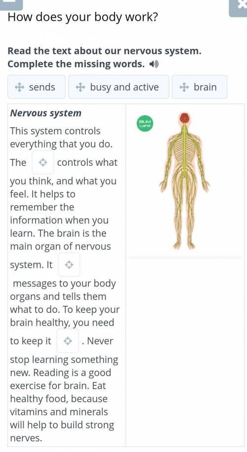 How does your body work? Read the text about our nervous system. Complete the missing words. Nervous