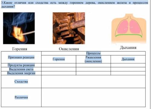 3.Какие отличия или сходства есть между горением дерева, окислением железа и процессом дыхания? Проц