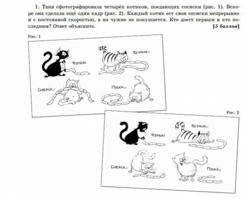 Таня сфотографировала четырёх котиков, поедающих сосиски (рис. 1). Вско- ре она сделала ещё один кад