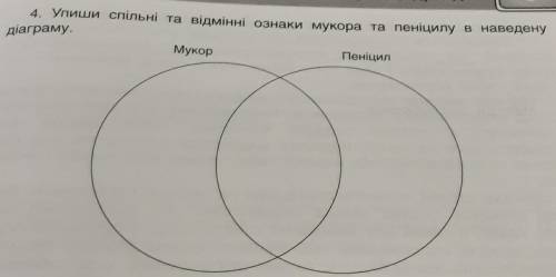 Спільні та відмінні ознаки мукора і пеніцила​