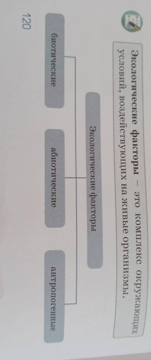 надо написать доклад на тему антро пакетные факторы плюсы и минусы​