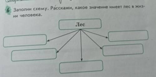 Заполни схему. Расскажи, какое значение имеет лес в жизни человека.​