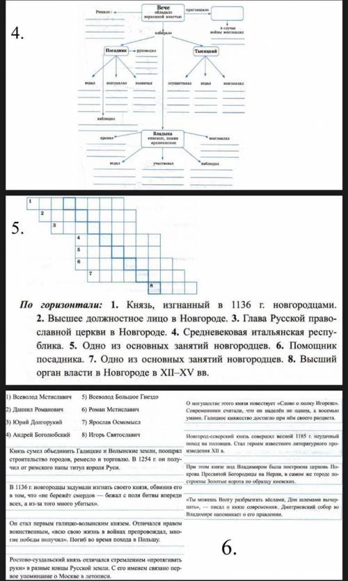 Какой размножения представлен на картинке? Задание на картинке: