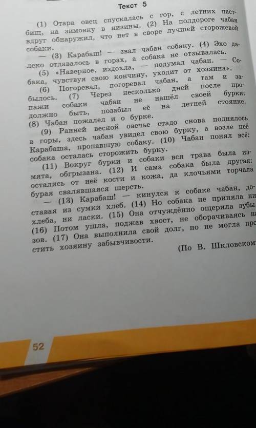 Отара овец спускалась с гор с летних пастбищ на зимовку в низины​