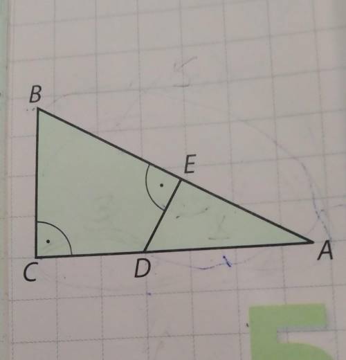 на рисунке AB равно 5 см AC 4 см DC 3 см. Найди длины отрезков BE и AE. ​