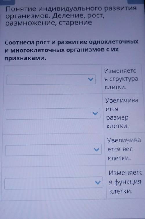 Понятие индивидуального развития организмов. Деление, рост,размножение, старениеСоотнеси рост и разв