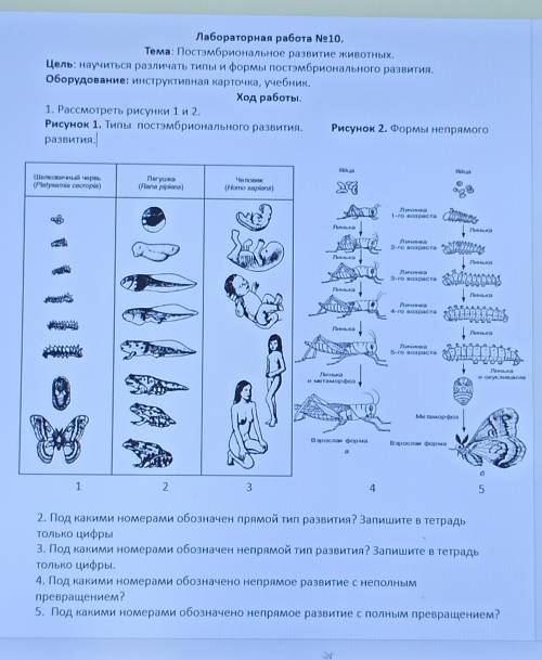 ) биология 6 кл. даю 20б.!