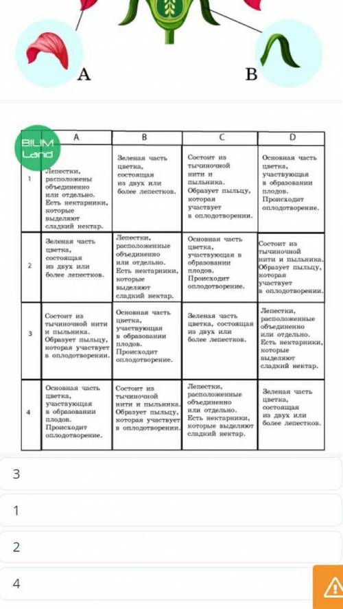 Строение цветка. Виды опыления. Цветение и опыление растений. Виды опыления (самоопыление, перекрест