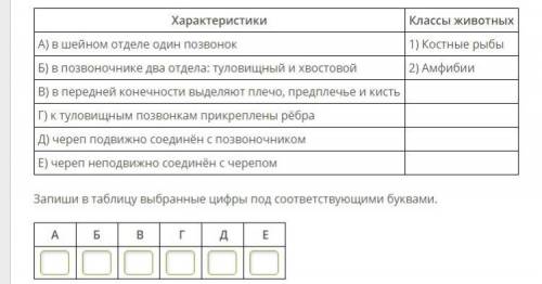 Установите соответствие между характеристиками скелета и классами животных: к каждой позиции, данной