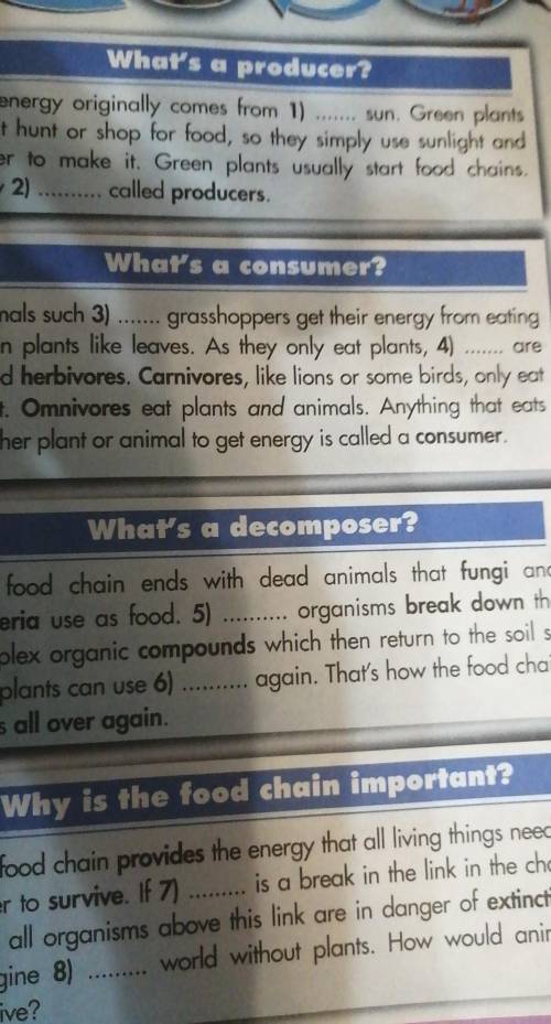 5 Portfolio: Make your own food chain. Draw a diagram and addpictures and labels. Presentyour food c