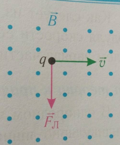 На рисунке представлены направления индукции магнитного поля, скорости движения частицы в данный мом