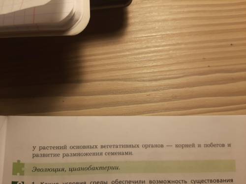 Составить вопросы к параграфу 27.(К каждому абзацу по 2 вопроса)Название параграфа:Историческое разв