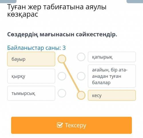 туған жер табиғатына аяулы көзқарас байланыстар саны: 3 сөздердің мағынасын сәйкестендір бауыр , қыр