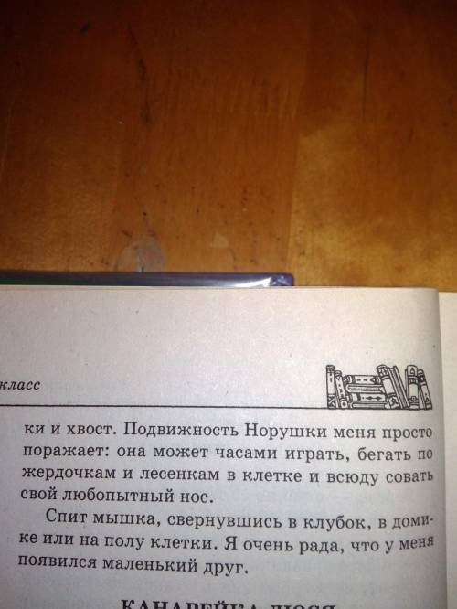 Написать сочинение - описание животного На фото образец. про любого животного на русском