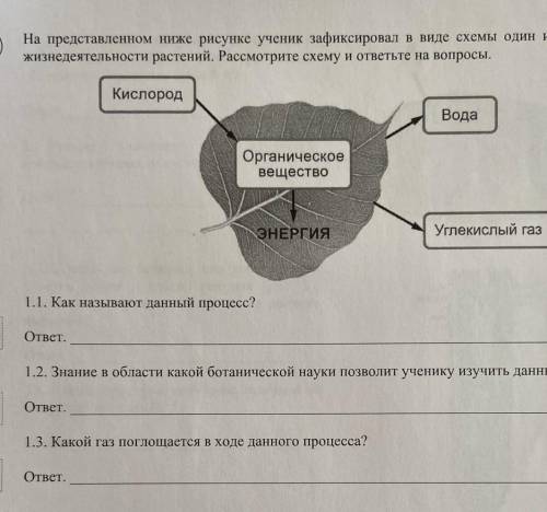 ) На представленном ниже рисунке ученик зафиксировал в виде схемы один из процессов жизнидеятельност