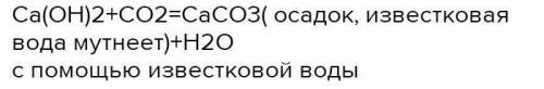 Как можно определить  воду и углекислый газ?​