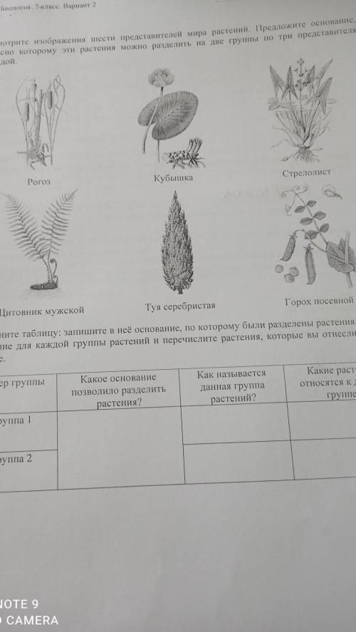 Рассмотракте изображення шести представителей мира растений. Предложите основание. согласно которому