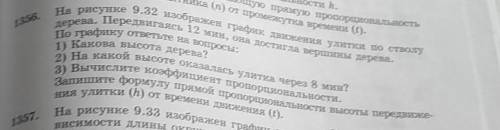 Рциональности. 1356.числа Колеваний маятника (n) от промежутка времени (0)Выражающую прямую пропорци