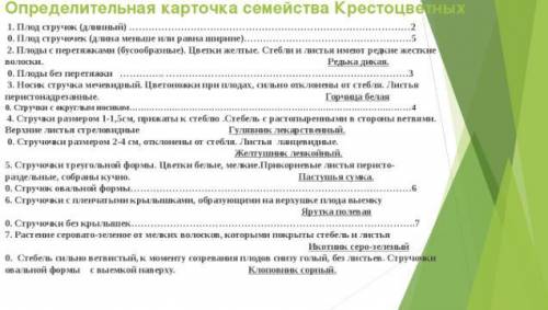 Задание 1. Пользуясь определительной карточкой, определите название данного растения !!