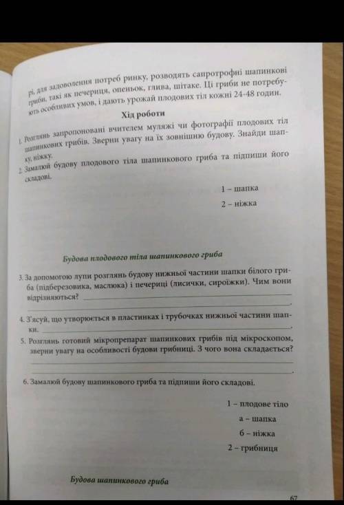 Практична робота по біології до іть ​