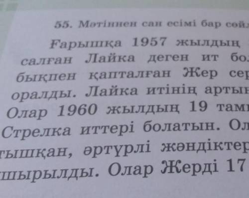 55. мәтіннен сан есімі бар сөйлемдерді теріп жаз ​